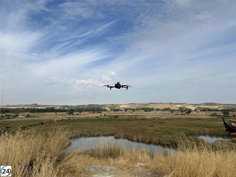 Las fuerzas de seguridad intensifican la búsqueda del piloto de dron que interrumpió operaciones en Son Sant Joan.