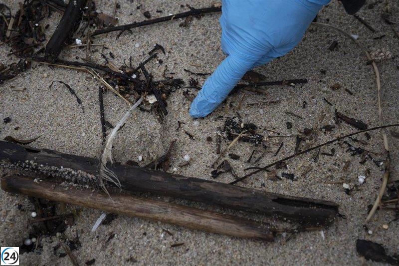 El Gobierno aplaude las nuevas regulaciones de la UE para frenar el desperdicio de pélets.