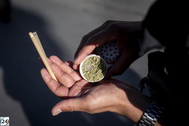 Jóvenes de Baleares entre 14 y 18 años lideran en el uso de cannabis.