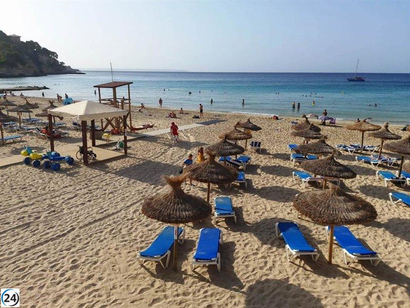 Palma reducirá en 1.000 las hamacas de sus playas debido a la erosión de arena.
