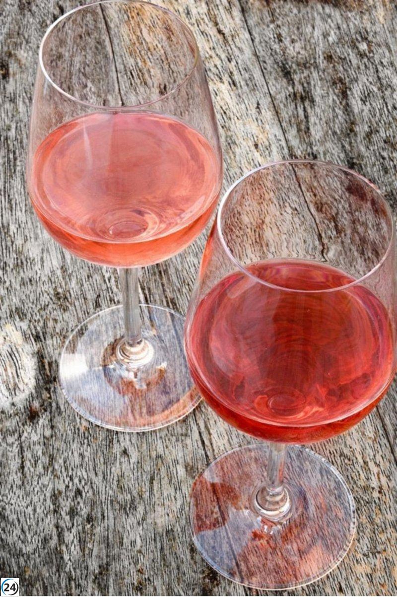 Baleares logra un 3,5% de incremento en la producción de vino de calidad, alcanzando 55.126 hectolitros en 2025.