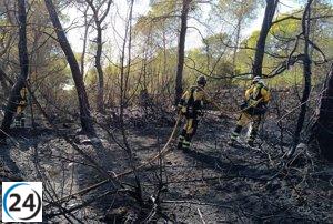 Baleares registra en 2025 el segundo menor número de incendios forestales en décadas.