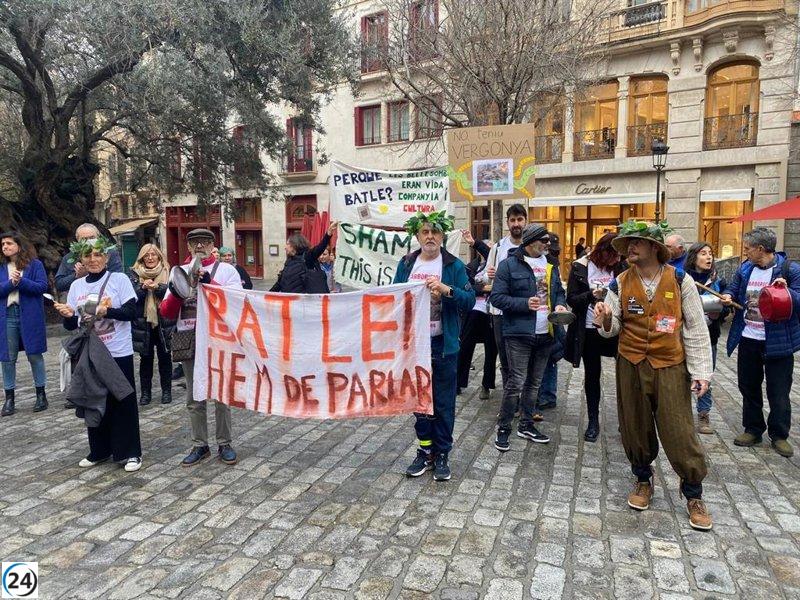 Palma: ciudadanos protestan con cacerolada para frenar la replantación de los árboles talados.