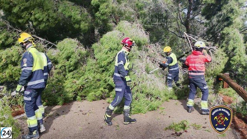 Tormenta en Baleares provoca 90 incidentes: caminos bloqueados por árboles caídos y deslizamientos peligrosos.