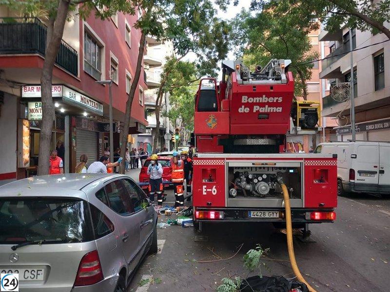 Mujer sufre lesiones por inhalación de humo en incendio en Palma.