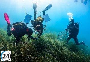 Salud de la posidonia en Baleares: más de la mitad de sus áreas muestra un estado favorable.
