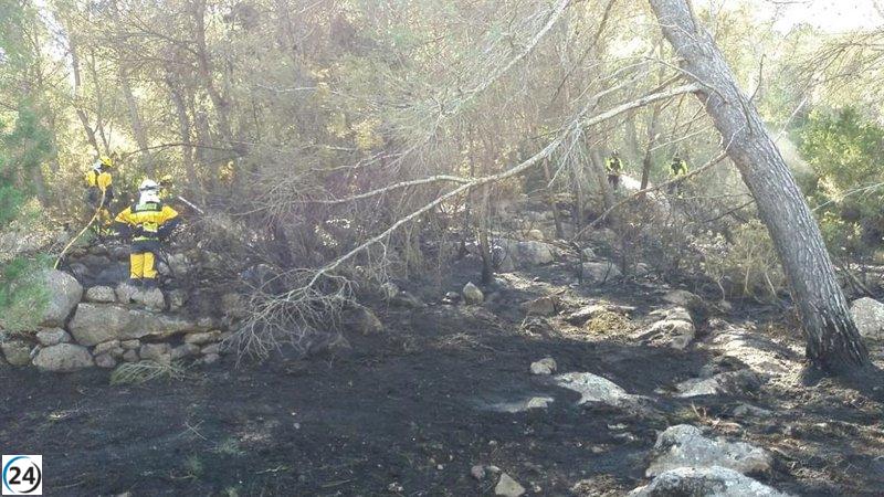 Controlado incendio forestal en Ibiza