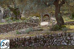 Consell de Mallorca destina 1,7 millones de euros a subvenciones 2023, un 80% más que el año anterior.