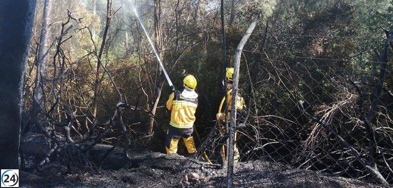 Controlado el incendio forestal en Deià después de su declaración el viernes.