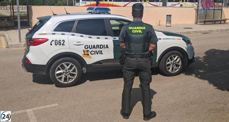 Joven detenido por robo en vehículos en Selva, Mallorca.