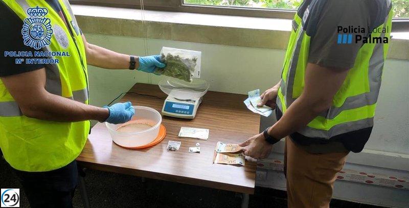 Mujer detenida por vender drogas a menores cerca de centro escolar en Palma.