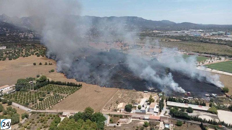 Bomberos y Ibanat combaten fuego agrícola en Son Bibiloni.