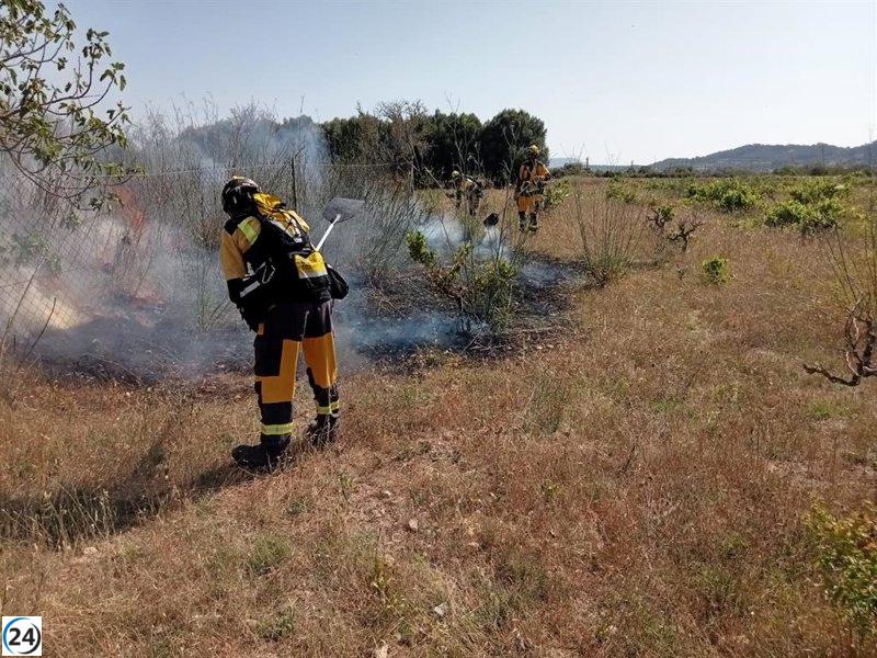 Bomberos y Ibanat apagan incendio en zona agrícola de Mallorca
