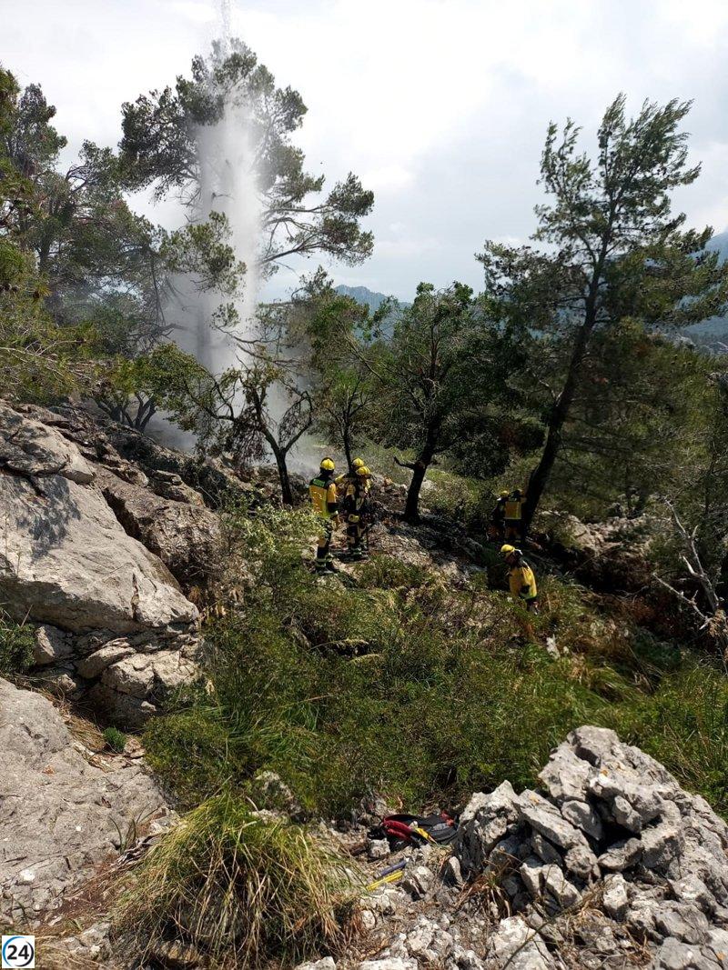 Gran cantidad de incendios en Baleares en 2023 destruyen 18,6 hectáreas.