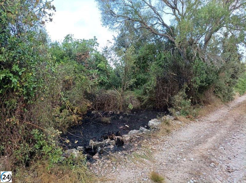 Controlado un incendio forestal en Artà