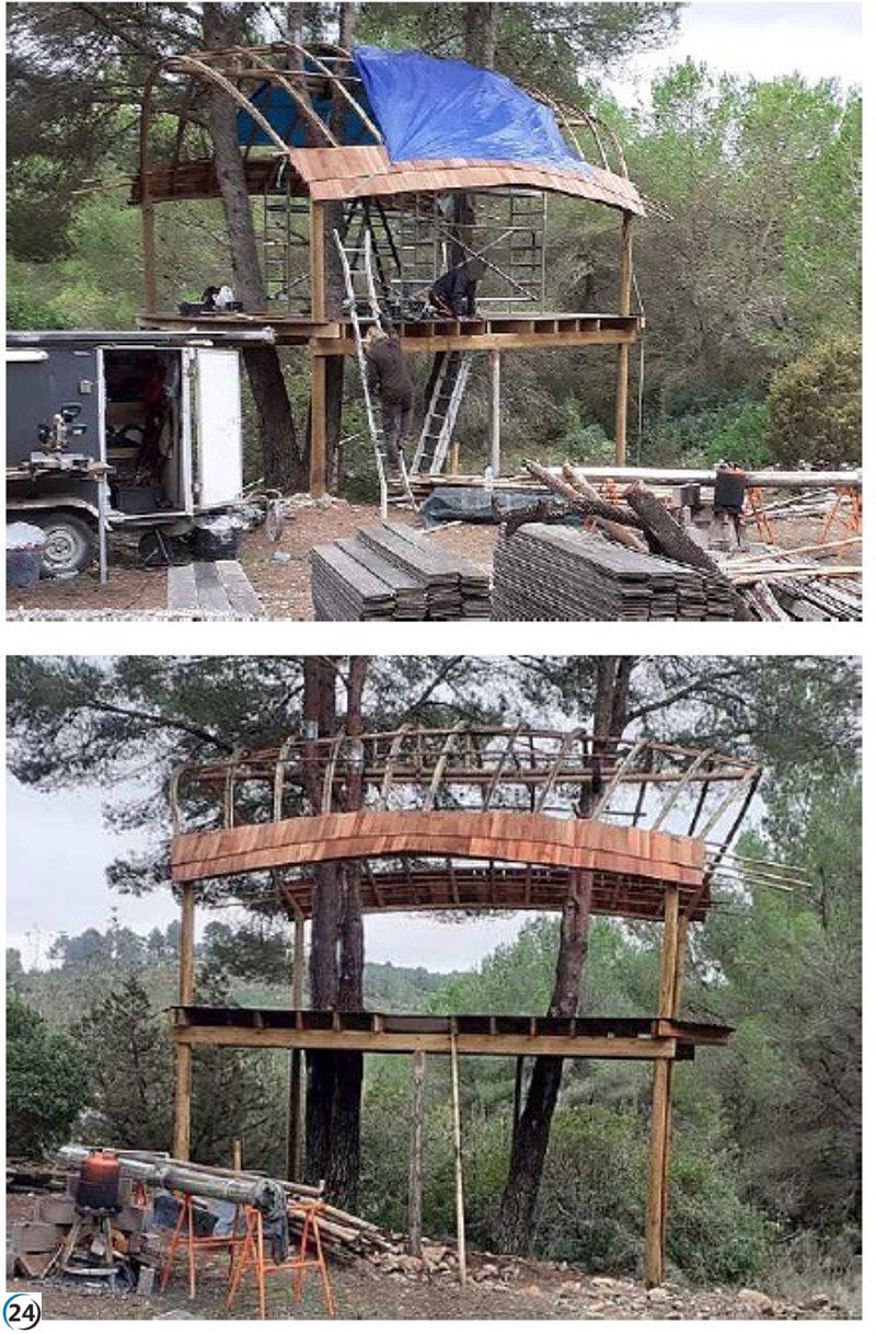 Demuelen casita ilegal en árbol y propietario multado con 37.000 euros en Ibiza.