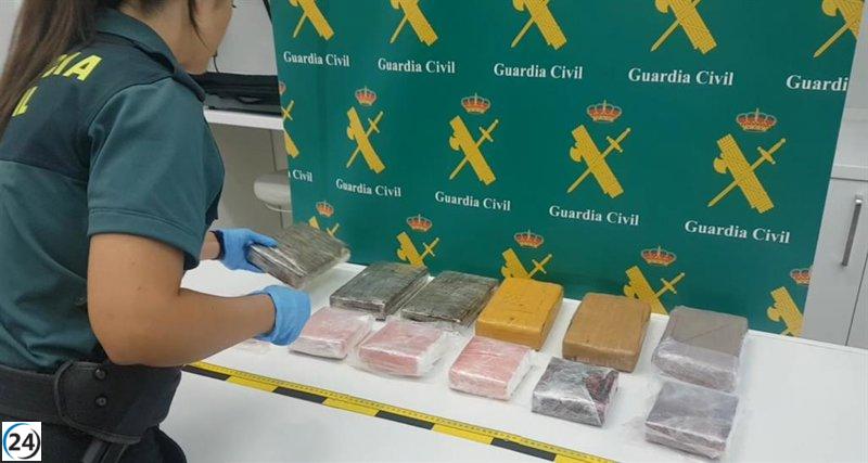 Detenido en el puerto de Palma un hombre intentando ingresar diez kilos de cocaína a Mallorca.