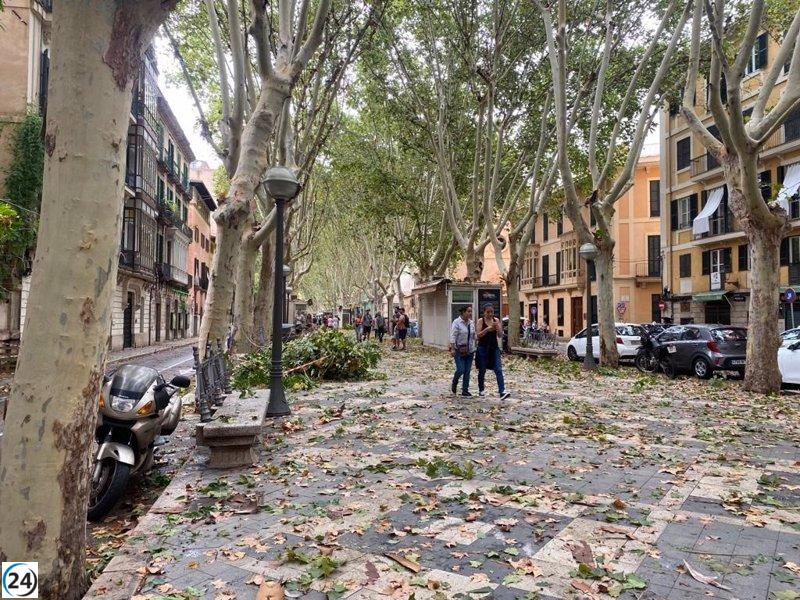 Endesa se esfuerza en restablecer el suministro eléctrico de 1.080 clientes afectados por el temporal en Mallorca