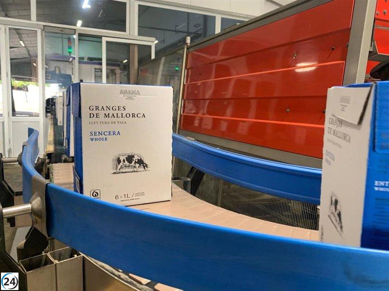 Agama reducirá drásticamente la compra de leche a los ganaderos de Mallorca debido a un excedente anual de 4,5 millones de litros.