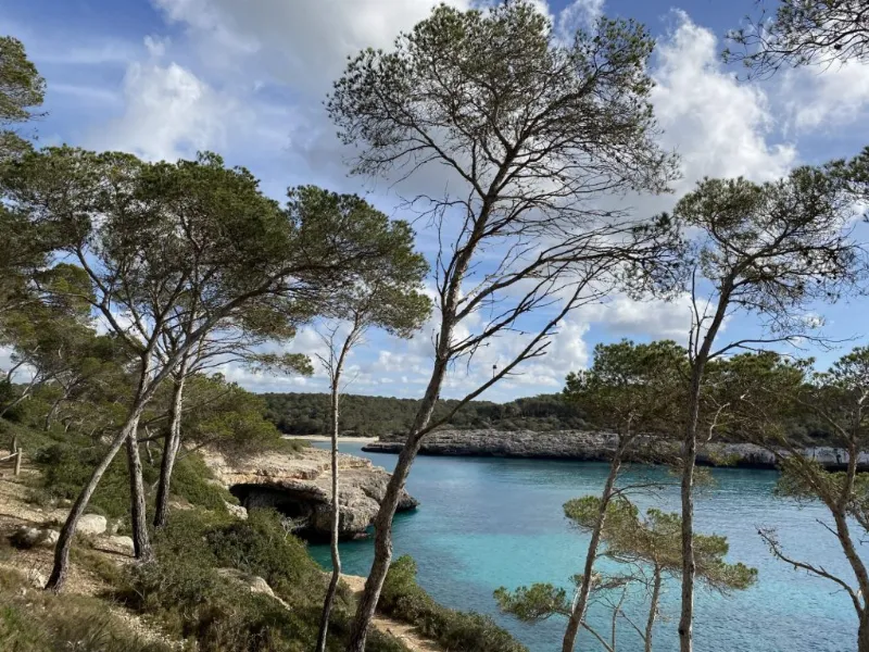 De excursión por el Parque Natural de Mondragó