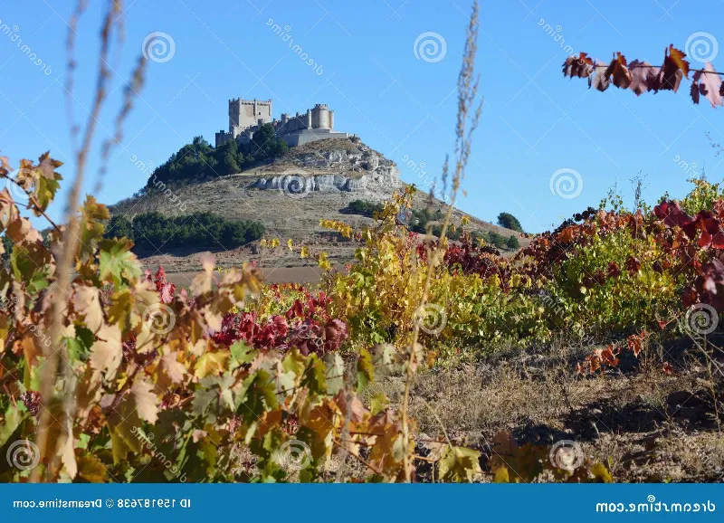 Un castillo medieval entre campos de viñedos en Mallorca