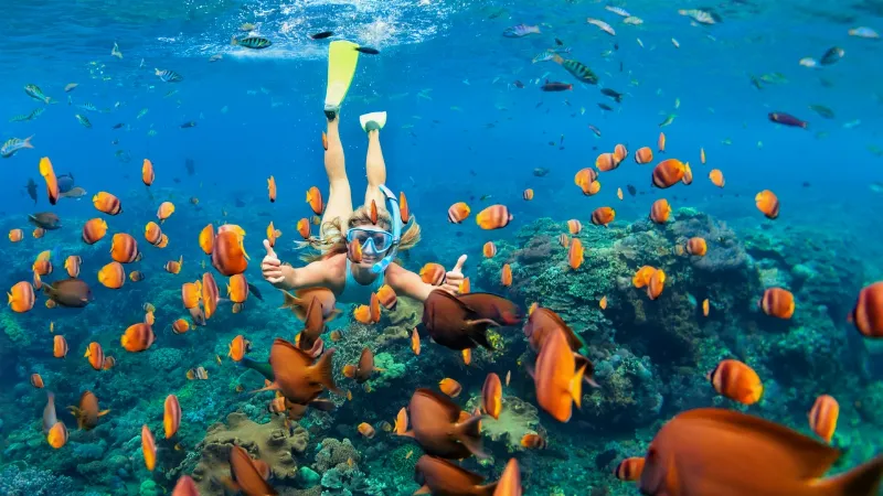 Las mejores calas para practicar snorkel en Baleares