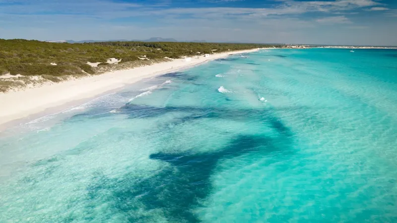 La encantadora cala de es Trenc en Mallorca