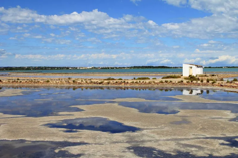 El emblemático Parque Natural de ses Salines