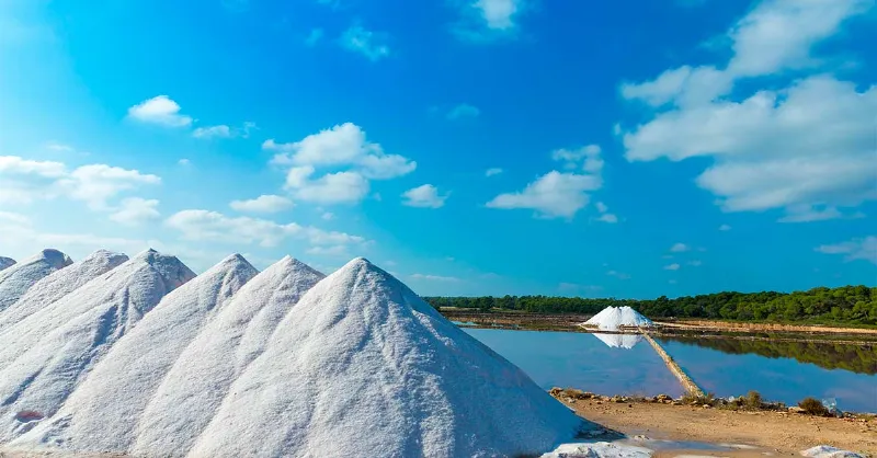 La belleza salvaje del Parque Natural de es Trenc-Salobrar de Campos