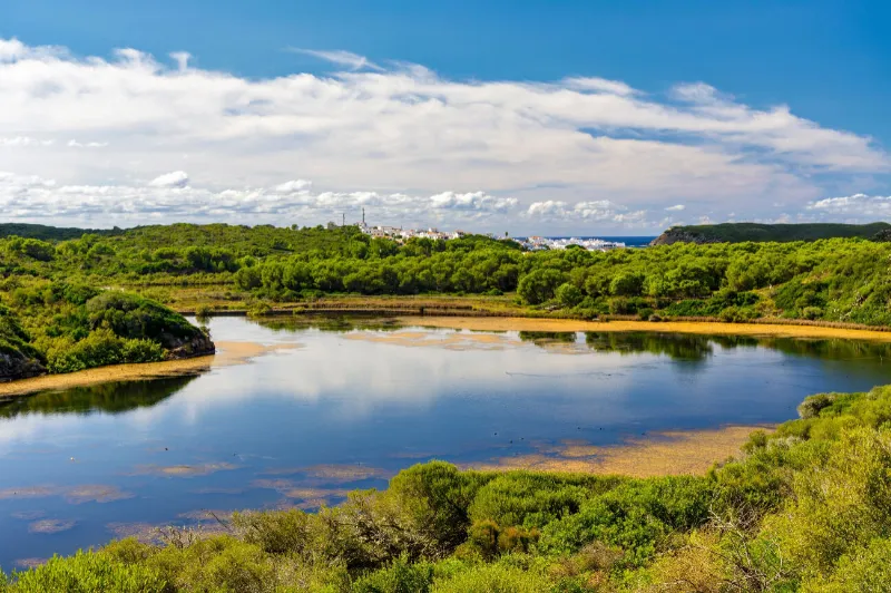 El idílico Parque Natural de s'Albufera de Mallorca