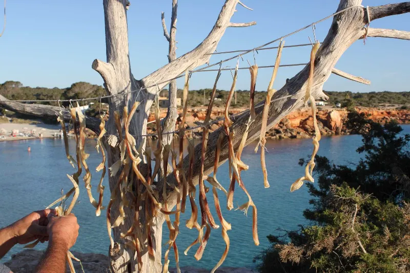 Los productos del mar más frescos que podrás encontrar en Formentera