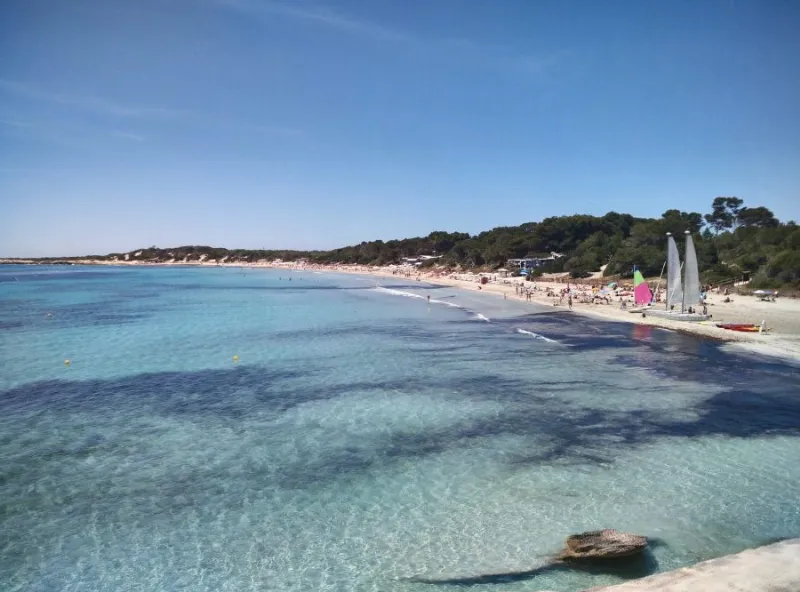 La playa más famosa de Ibiza: Salinas