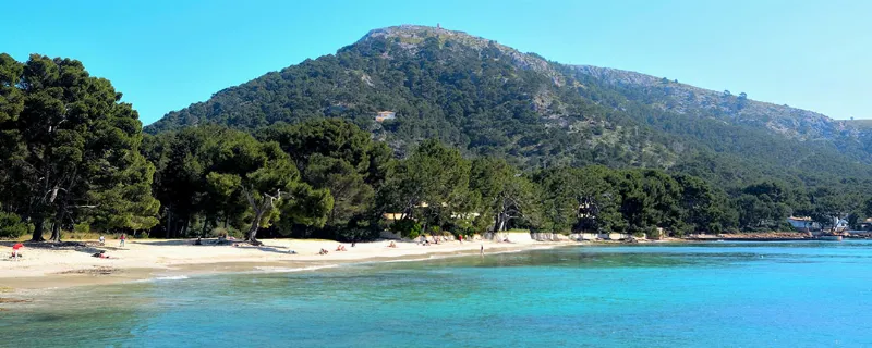 Descubre la belleza natural de la playa de Formentor en Mallorca